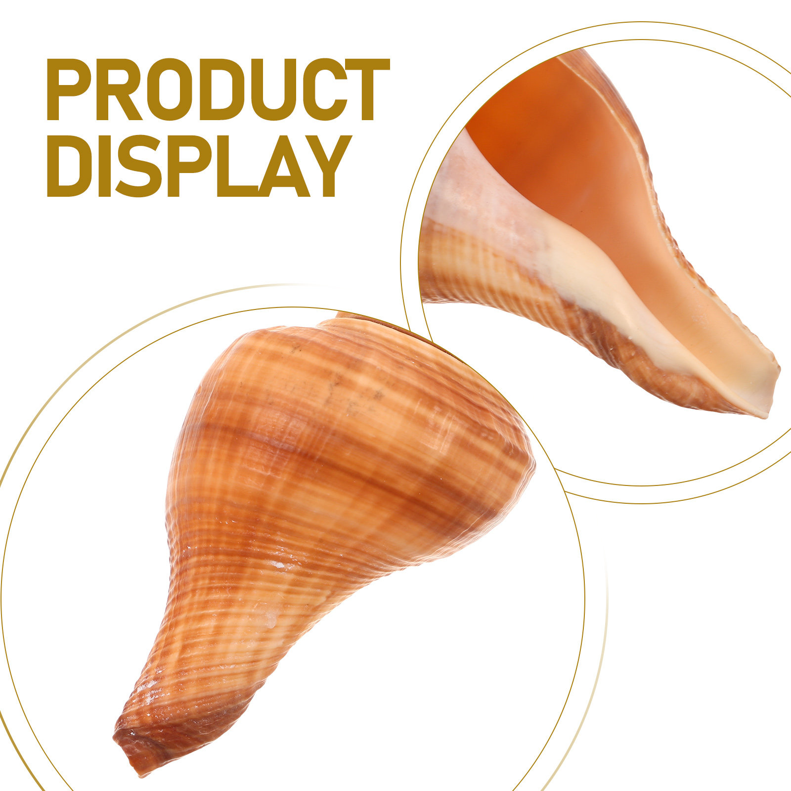 5Pcs Natural Conch Shell Whist - Emergency Whistle Loud 리뷰 및 가격