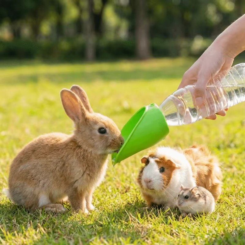 Dog cat Travel Water Bottle  P - Water Bag Collapsible 리뷰 및 가격